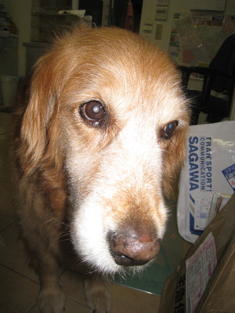 ファイル 841-1.jpg