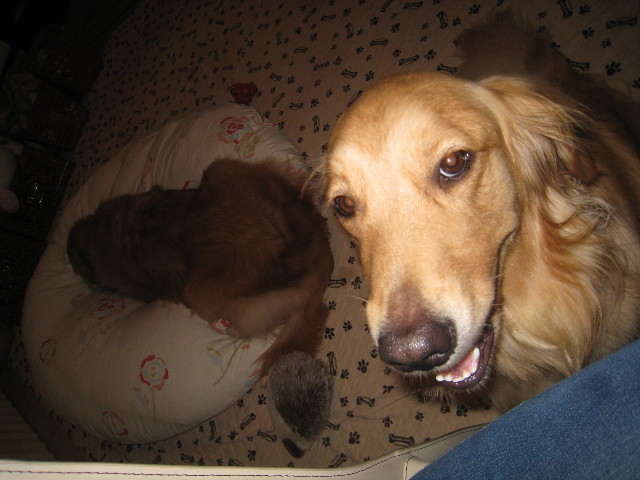 ファイル 841-2.jpg