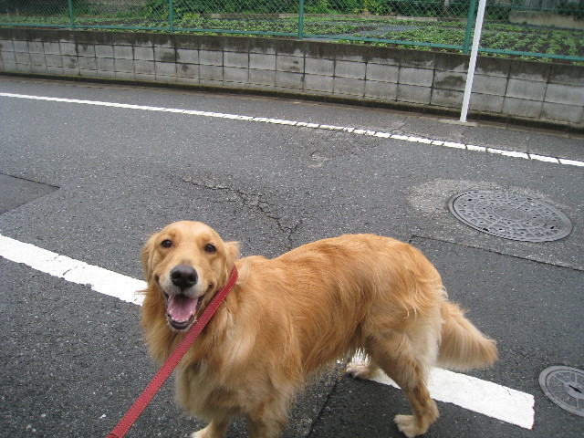 ファイル 841-4.jpg