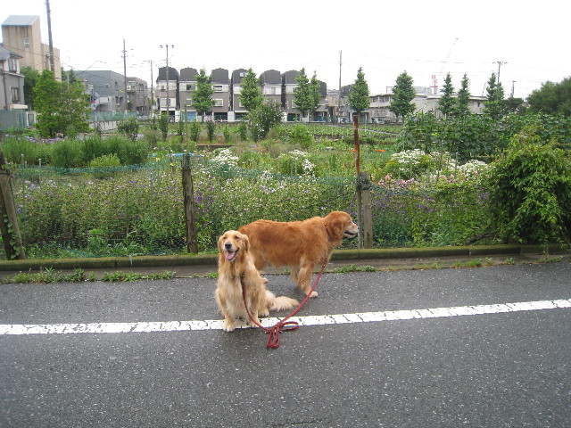 ファイル 841-5.jpg