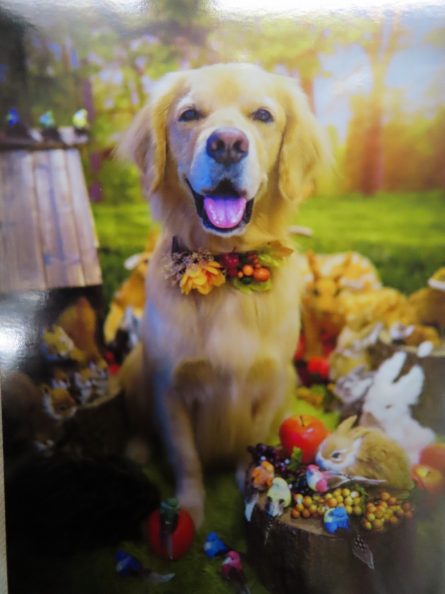 ファイル 8410-4.jpg