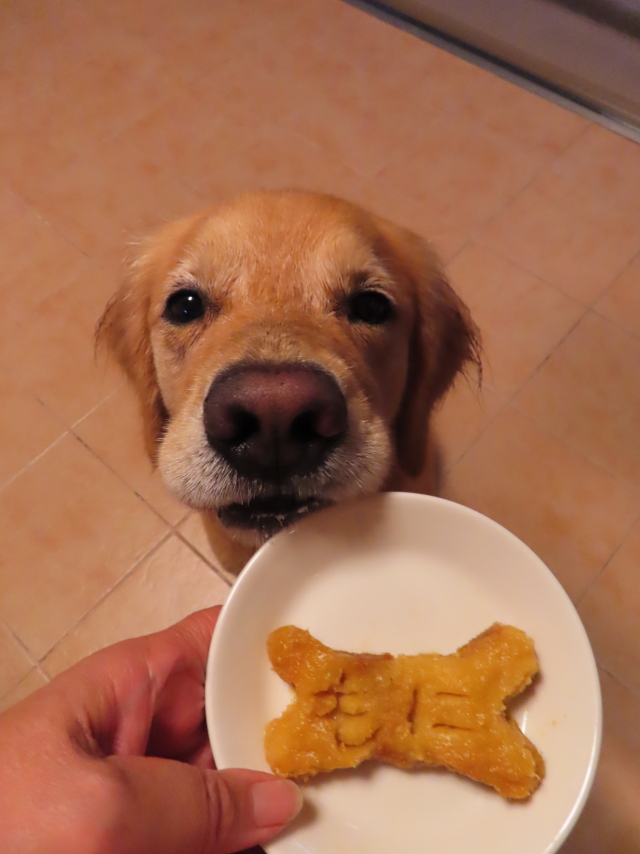 ファイル 8410-5.jpg