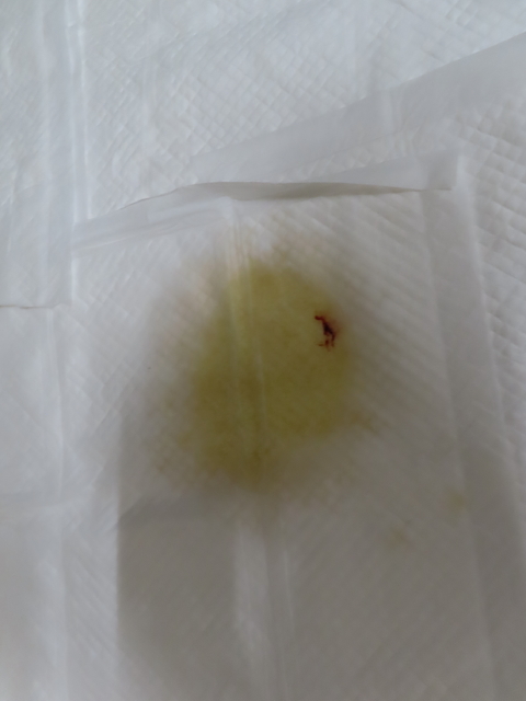 ファイル 8412-3.jpg