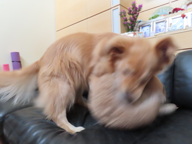 ファイル 8412-5.jpg