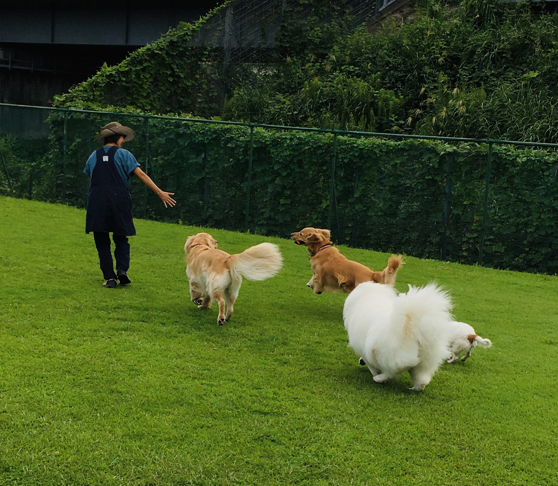 ファイル 8413-1.jpeg