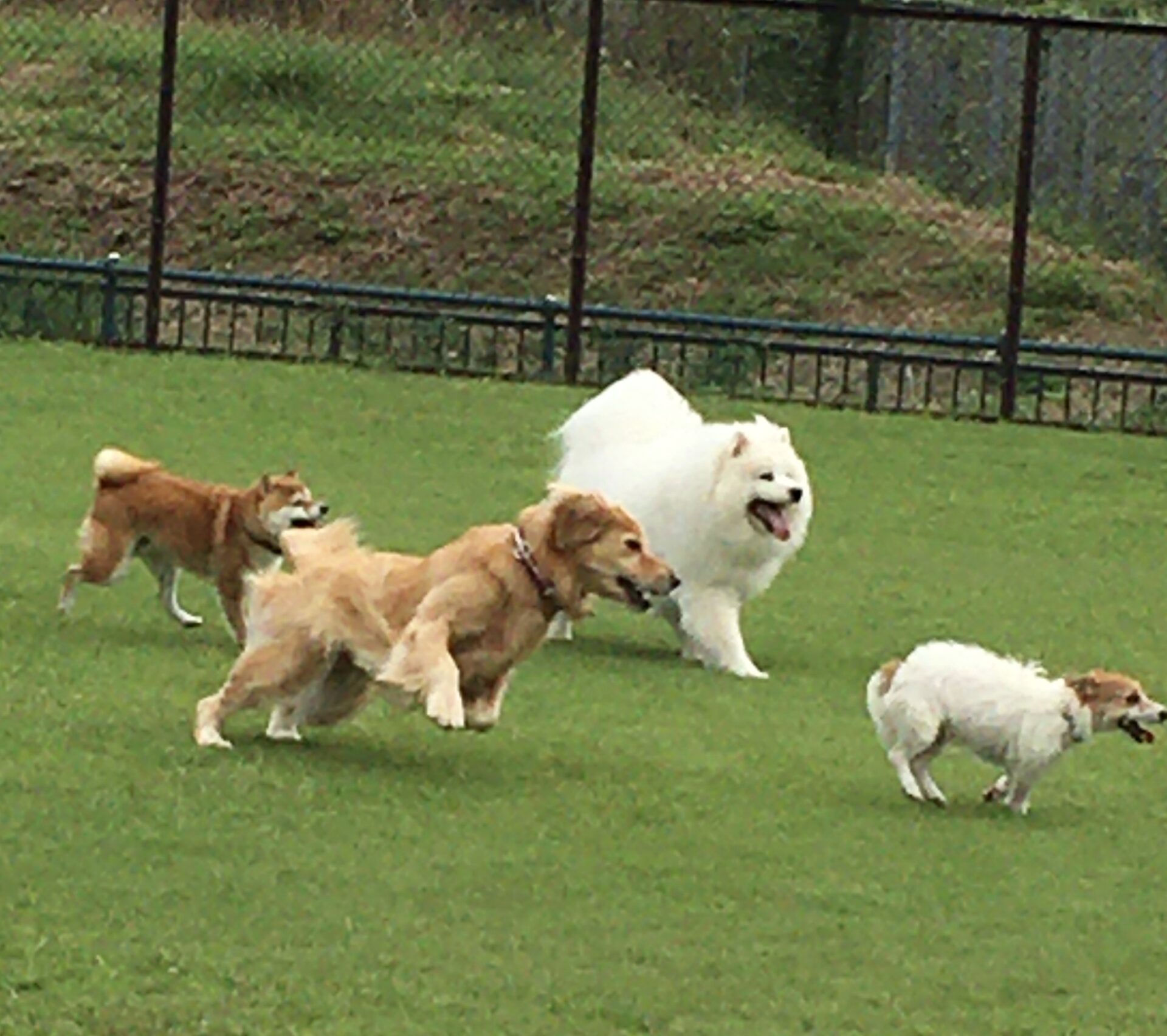 ファイル 8413-3.jpeg