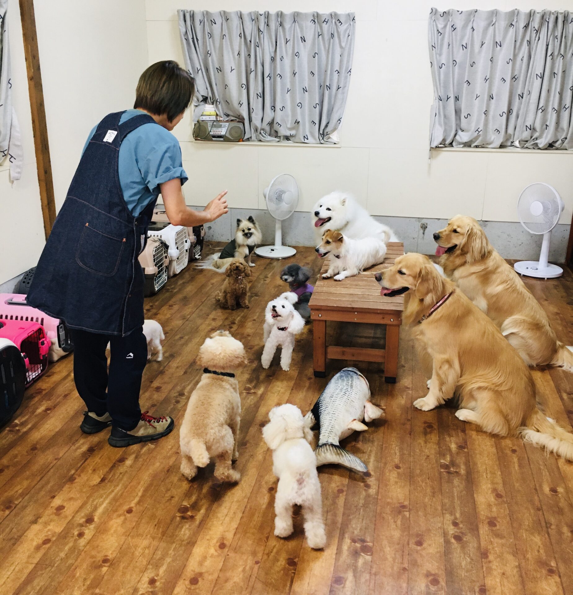 ファイル 8413-4.jpeg