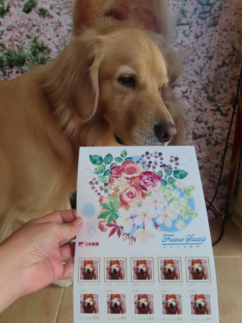 ファイル 8414-2.jpg