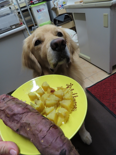 ファイル 8414-4.jpg