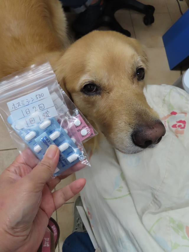 ファイル 8415-1.jpg