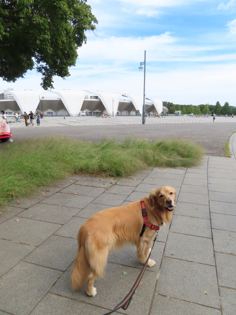 ファイル 8418-1.jpg