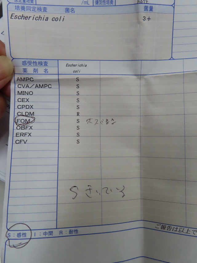 ファイル 8418-5.jpg