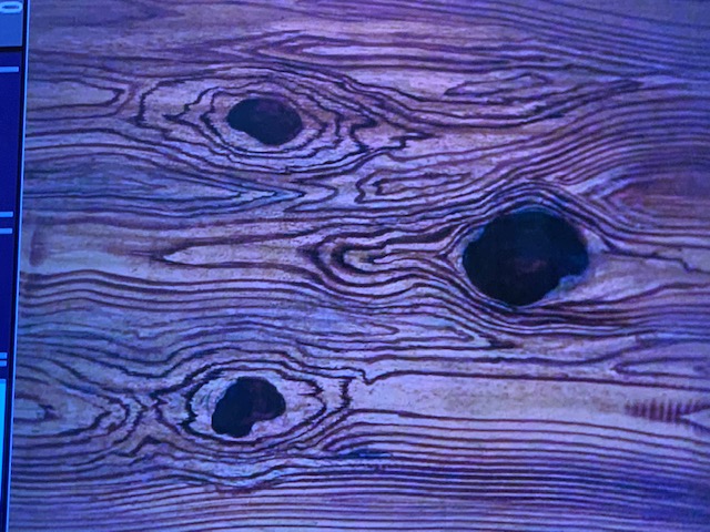 ファイル 8419-3.jpg