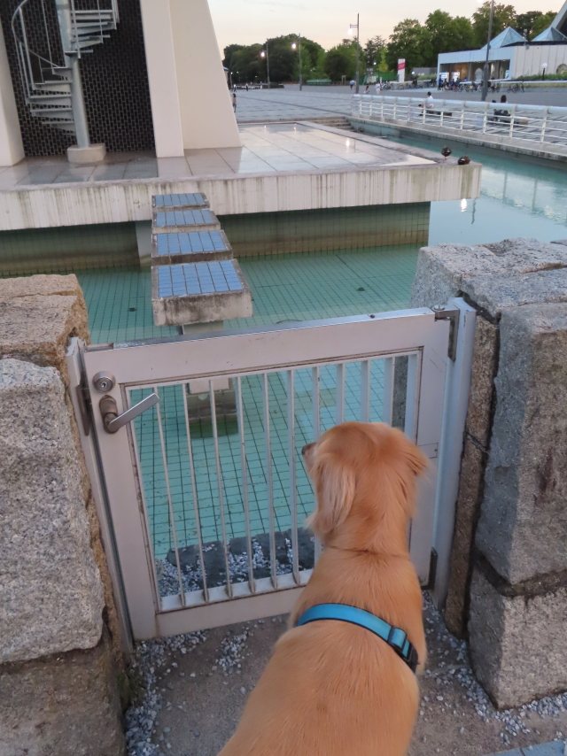 ファイル 8421-3.jpg