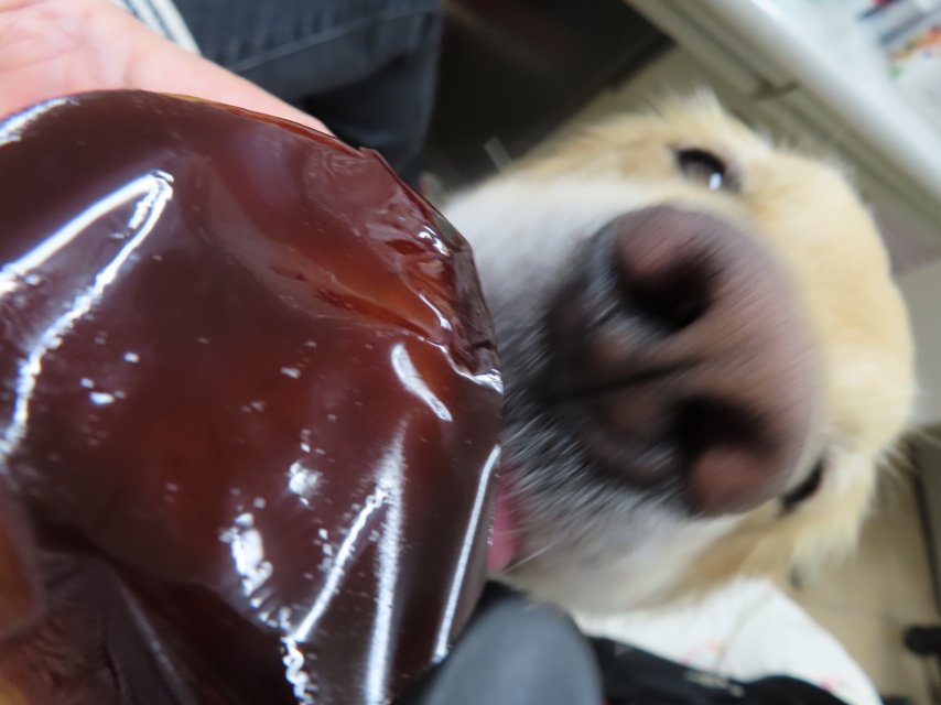 ファイル 8424-5.jpg