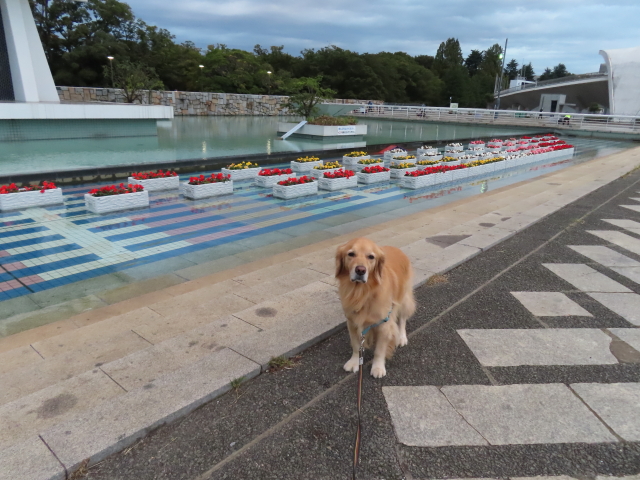 ファイル 8425-1.jpg