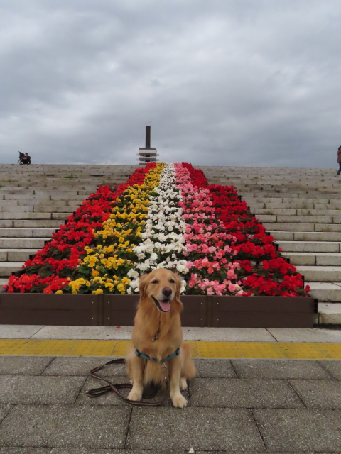 ファイル 8425-2.jpg