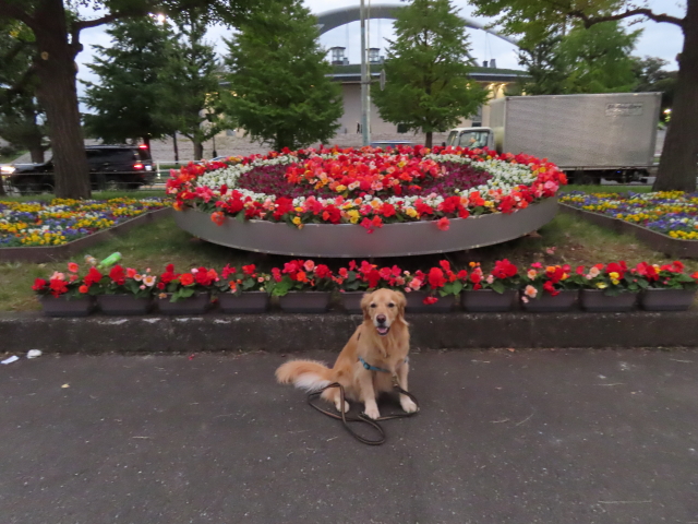 ファイル 8425-5.jpg