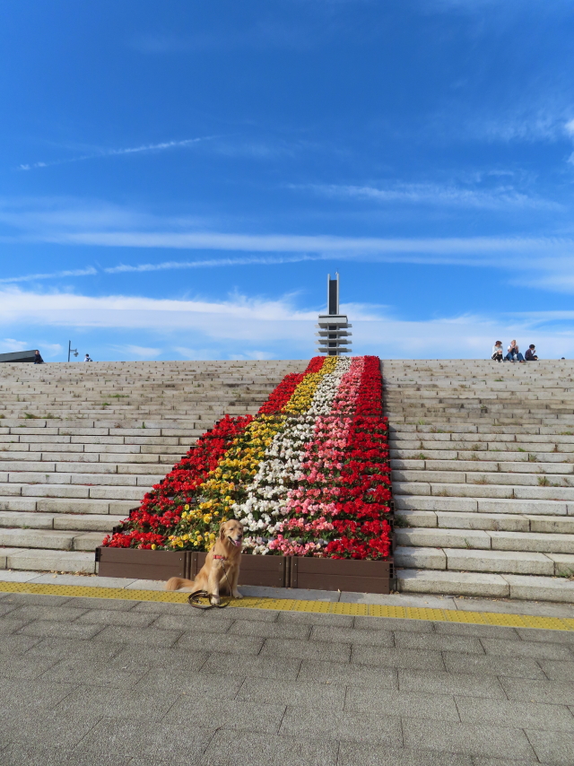 ファイル 8427-2.jpg