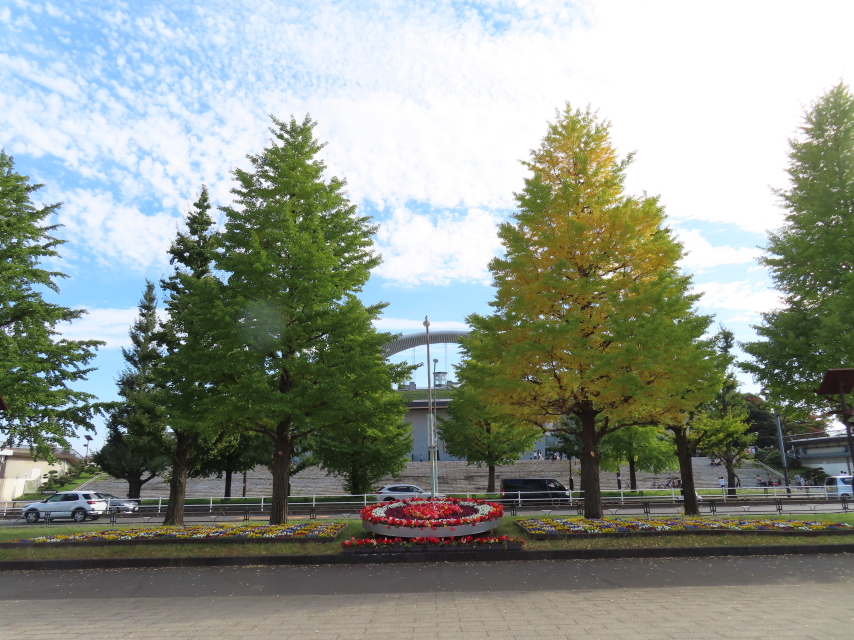 ファイル 8428-2.jpg