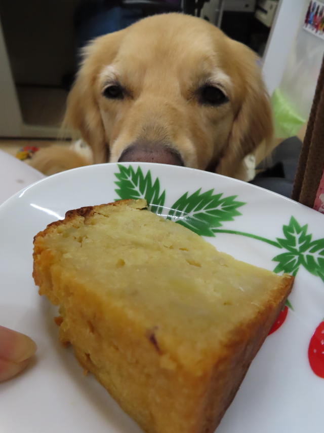 ファイル 8428-4.jpg