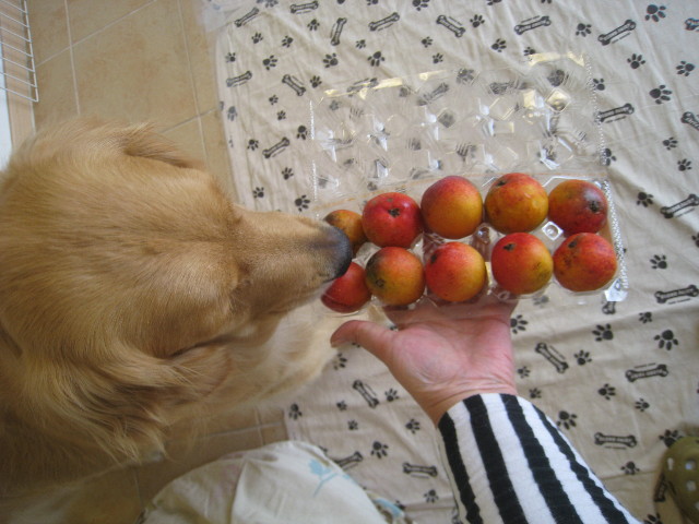 ファイル 843-5.jpg