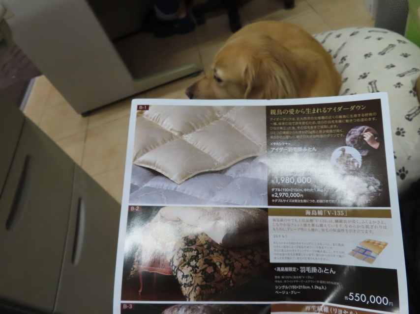 ファイル 8432-3.jpg