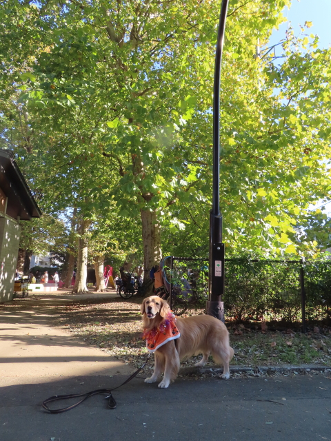 ファイル 8433-3.jpg