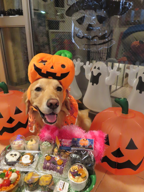 ファイル 8433-4.jpg