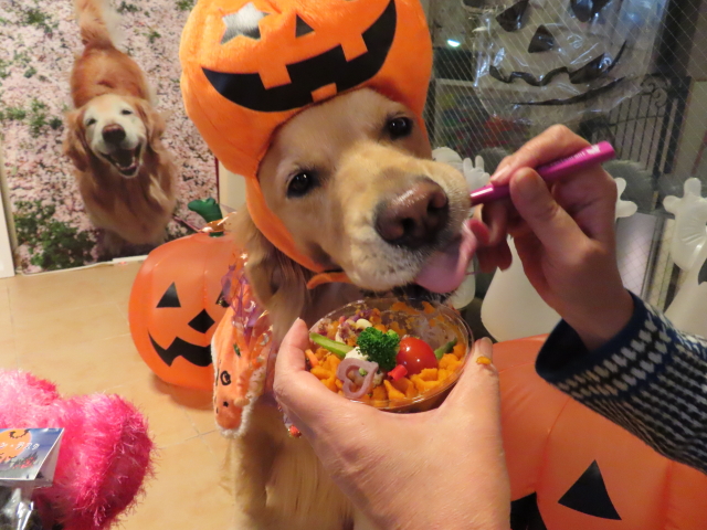 ファイル 8433-5.jpg