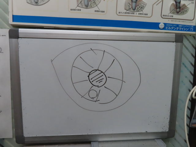 ファイル 8434-3.jpg