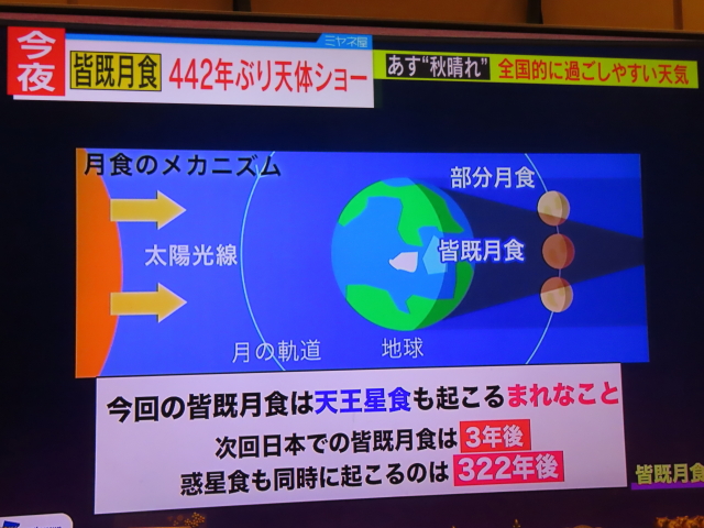 ファイル 8436-1.jpg