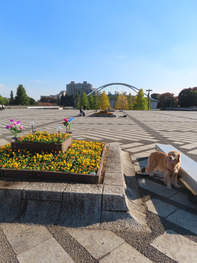 ファイル 8438-3.jpg