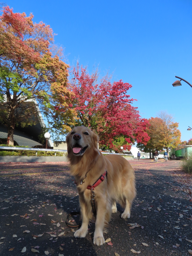 ファイル 8439-1.jpg