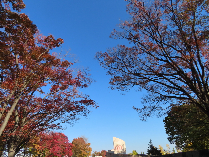 ファイル 8439-2.jpg