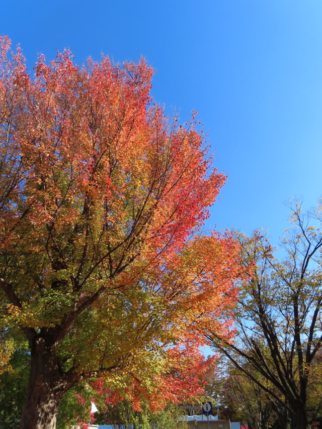 ファイル 8439-3.jpg