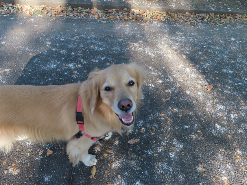 ファイル 8439-5.jpg