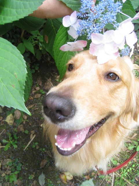 ファイル 844-1.jpg