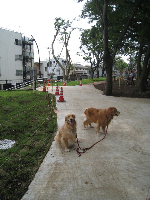 ファイル 844-2.jpg