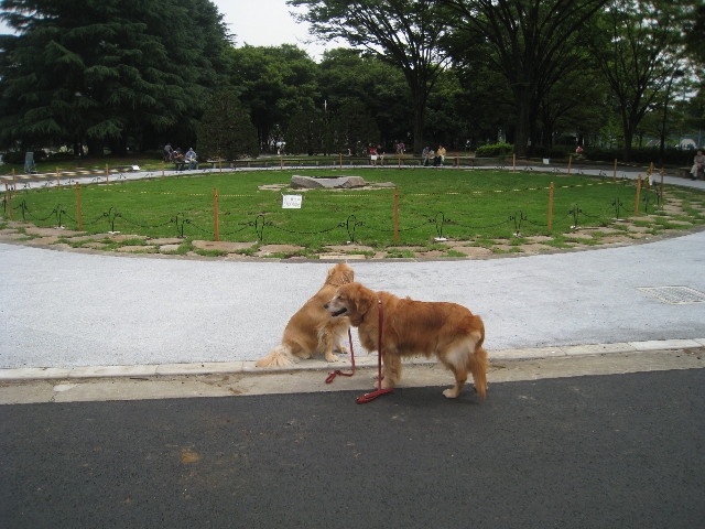 ファイル 844-4.jpg