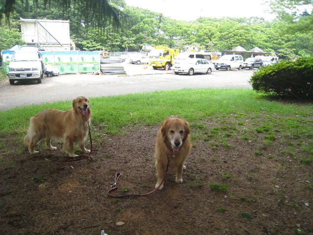 ファイル 844-5.jpg