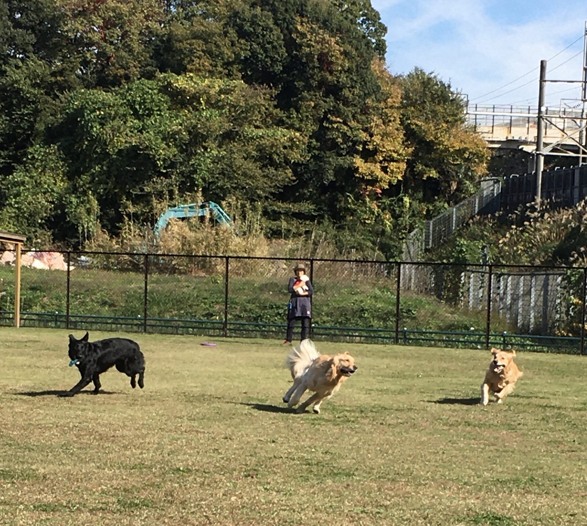 ファイル 8442-5.jpeg