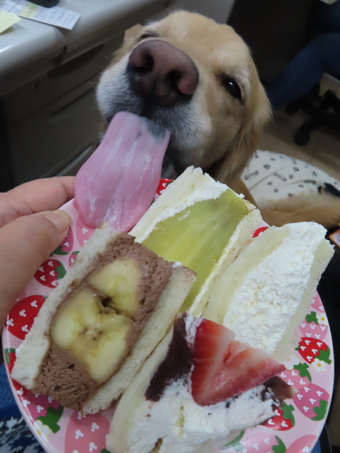 ファイル 8443-4.jpg