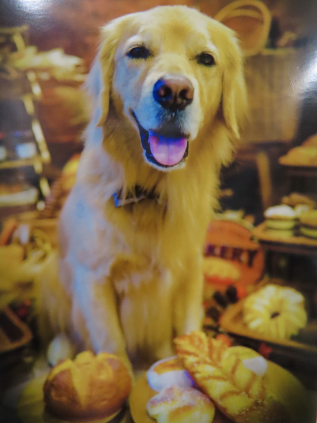 ファイル 8445-3.jpg