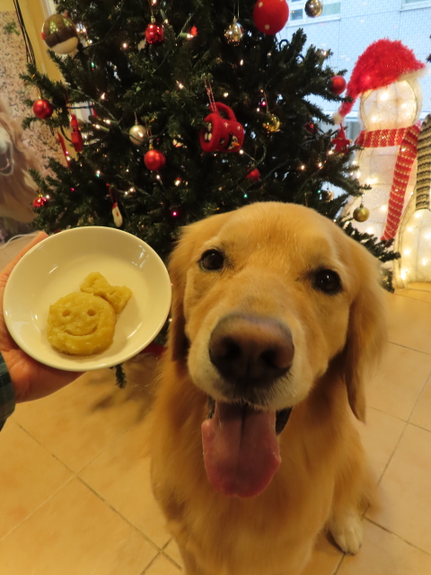 ファイル 8445-5.jpg