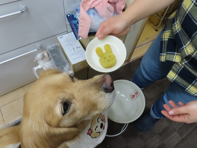 ファイル 8447-3.jpg