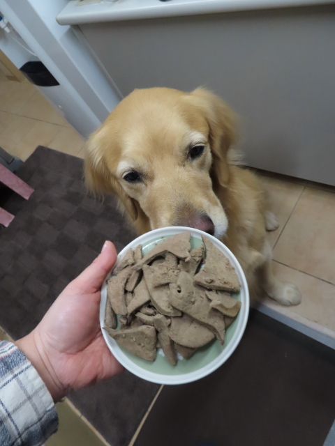 ファイル 8447-4.jpg