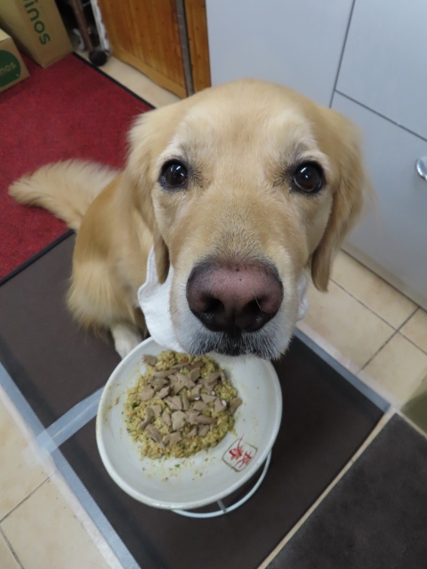 ファイル 8447-5.jpg