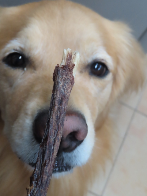 ファイル 8448-1.jpg