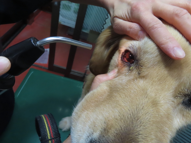 ファイル 8448-3.jpg